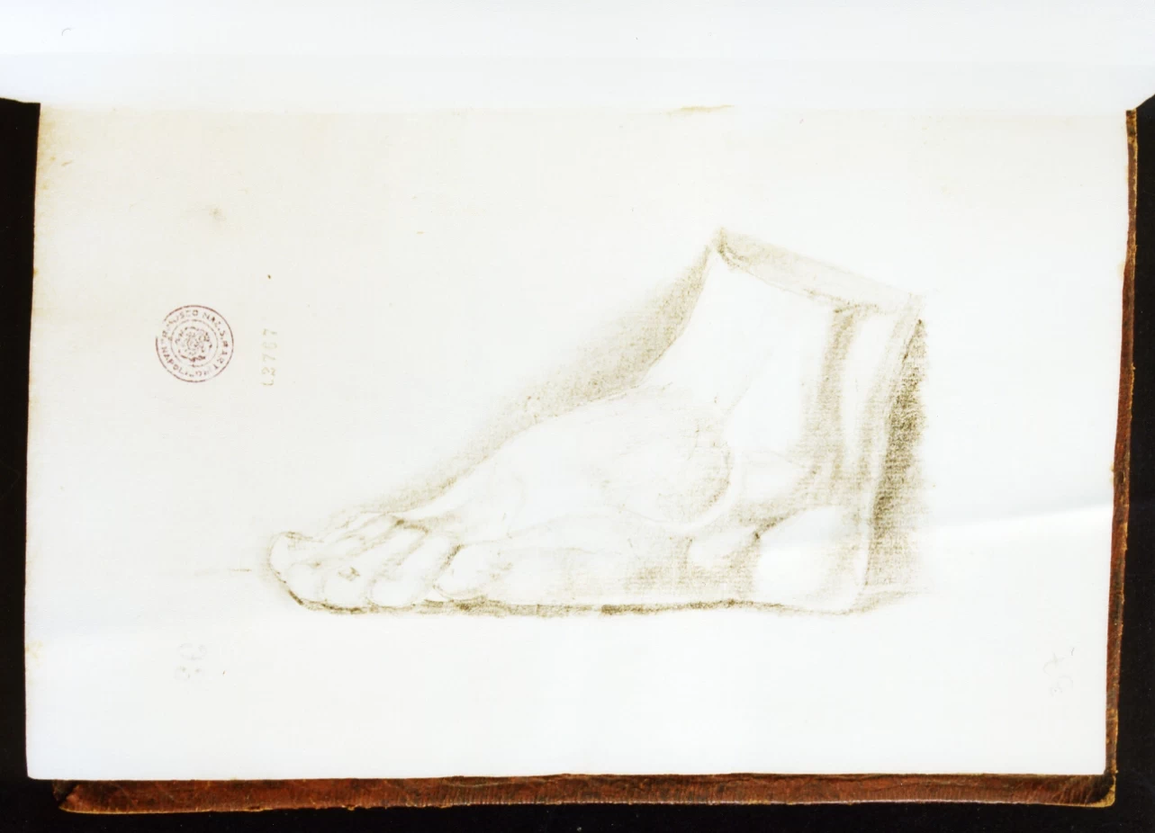 Studio anatomico - Certosa di san Martino, Napoli